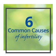 Green background with copy 6 common causes of infertility