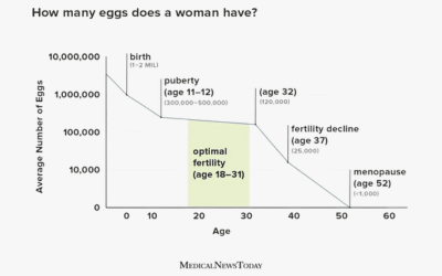 How many eggs does a woman have? Graph